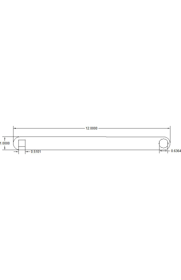 Bulletproof Dog Bone 16mm 12-inch long